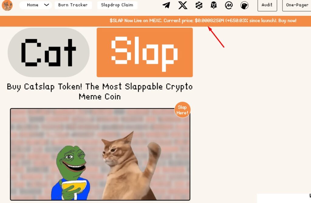 Catslap Crypto